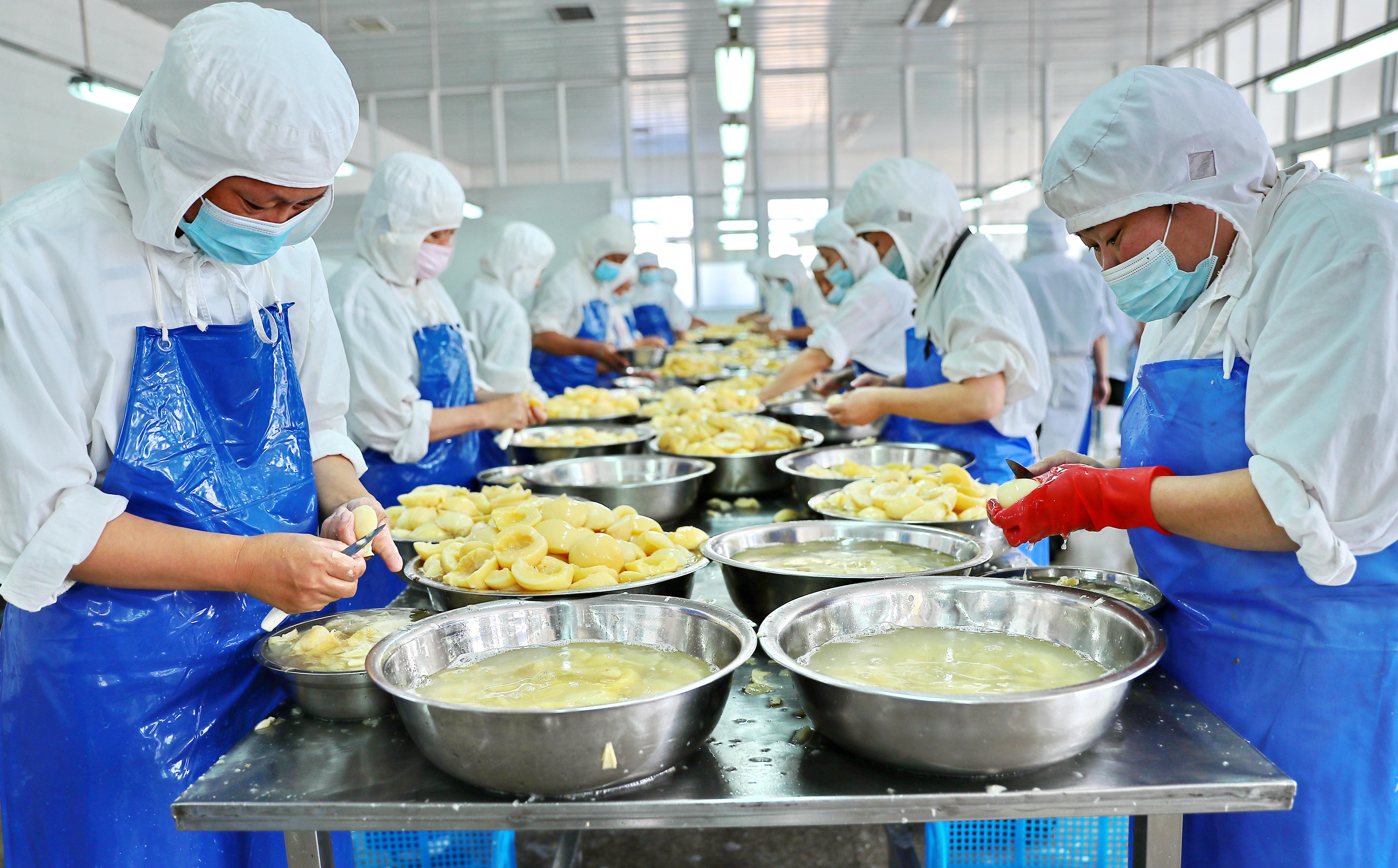 河北省秦皇岛市海港区的秦皇岛富滋食品有限公司内，工人在鲜桃加工生产线工作。 曹建雄摄
