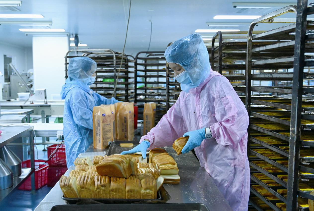 在盐山县东帽圈村一家面包加工厂，工人正在将切好的面包片进行打包装袋。刘蒙蒙摄
