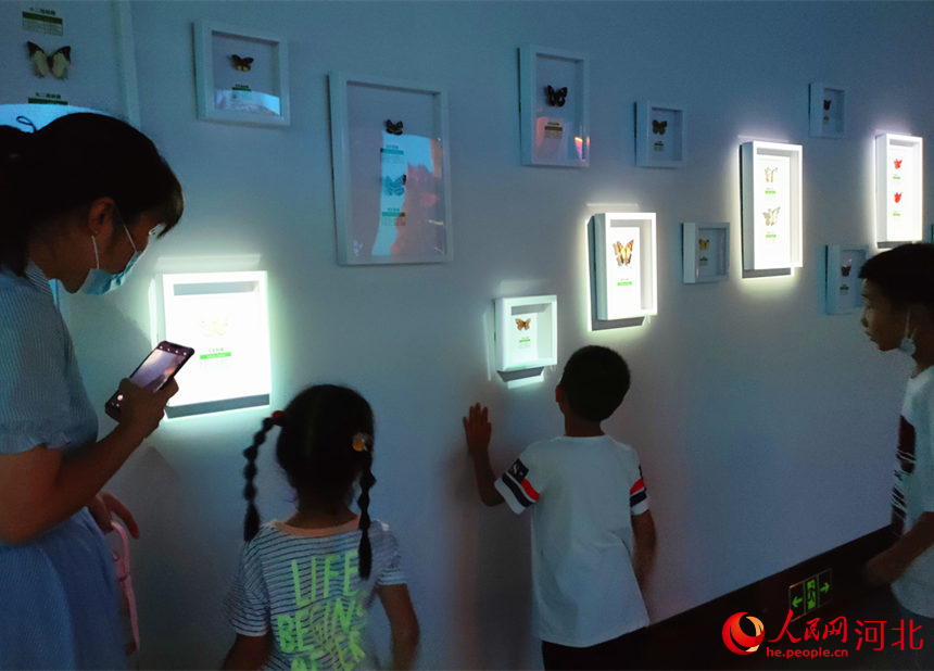 家长和孩子在参观“生物之美-蝴蝶”主题科普展。人民网 杨文娟摄