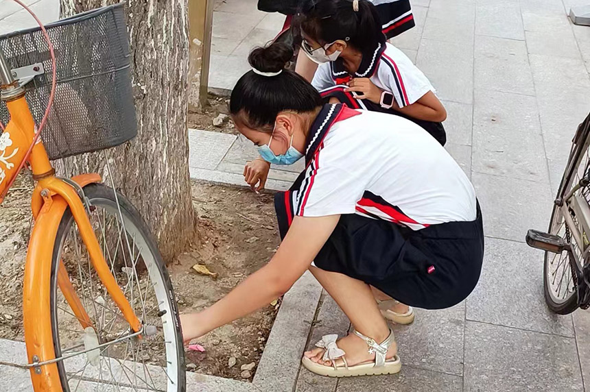 少先队员们捡拾路边垃圾，美化市容。宋金玲摄