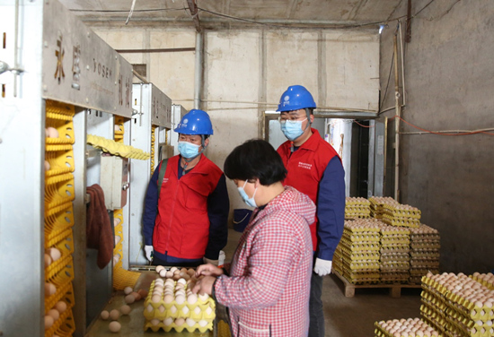 8月22日，国网高邑县供电公司服务人员到养殖基地了解用电需求。祝运摄