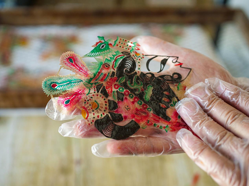 唐山市丰南区皮影雕刻艺人杨玉辉正在给影人上油。崔光摄