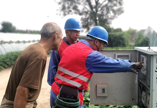 8月22日，国网石家庄市藁城区供电公司到大棚种植基层检查用电设备。曹亚伟摄