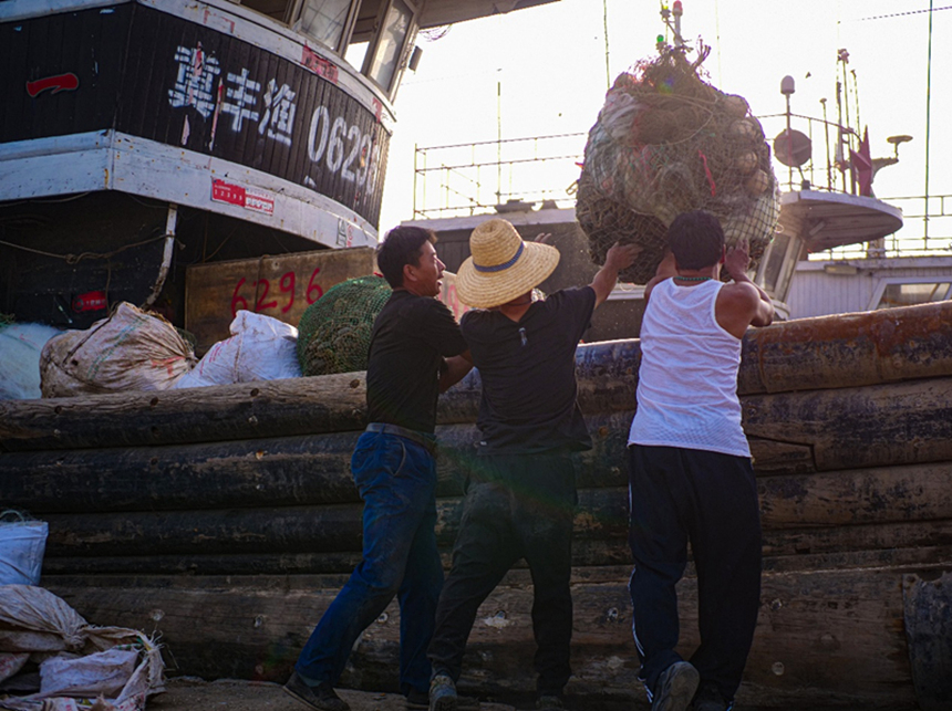 河北省唐山市丰南区黑沿子镇渔民出海前正在搬运网具。 崔光摄