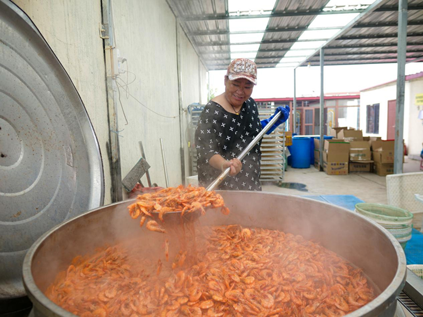 河北省唐山市丰南区黑沿子镇毕东村渔民正在煮虾。崔光摄