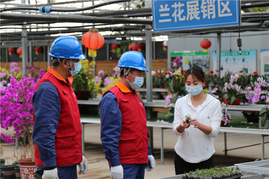 国网定兴县供电公司员工到“京雄农谷兰花产业园二期”进行走访。 刘杰摄