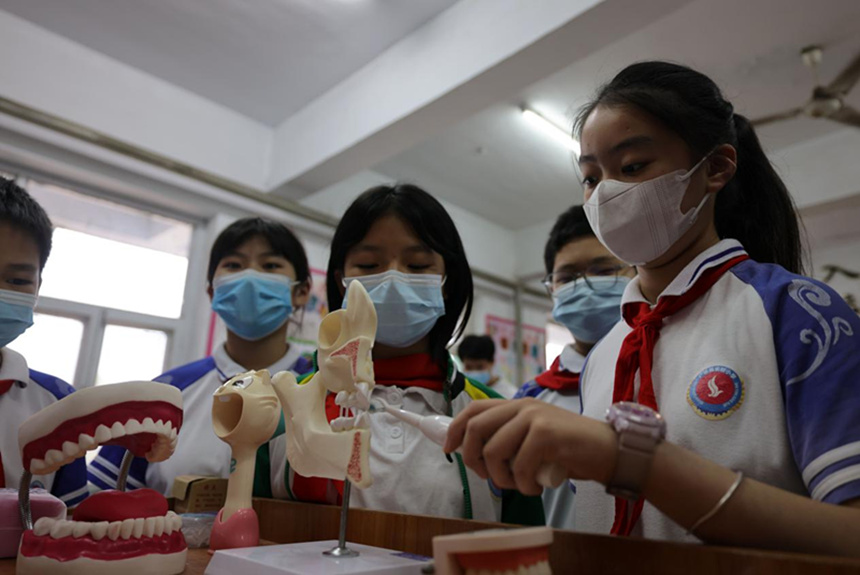 河北省邢台市广宗县实验小学的学生在学习牙齿基本结构和正确刷牙方式。 王垒摄