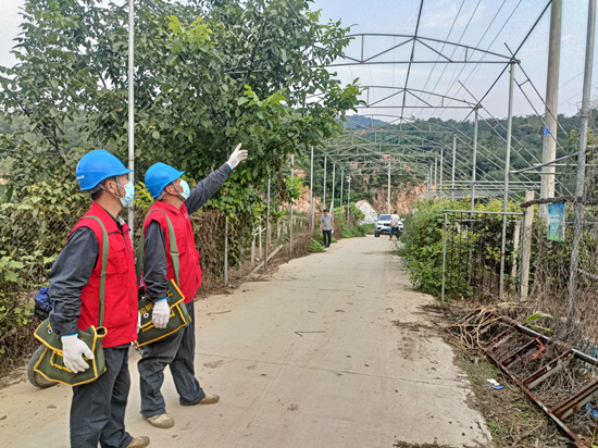 国网赞皇县供电公司共产党员服务队在帮葡萄种植户察看电路。王一兰摄