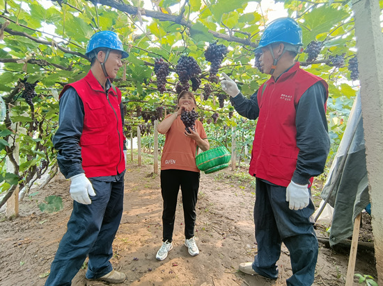 国网赞皇县供电公司共产党员服务队在向葡萄种植户讲述安全知识。王一兰
