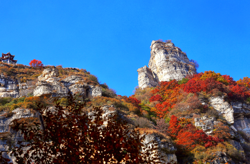 保定淶源縣白石山秋景。 劉美娜攝