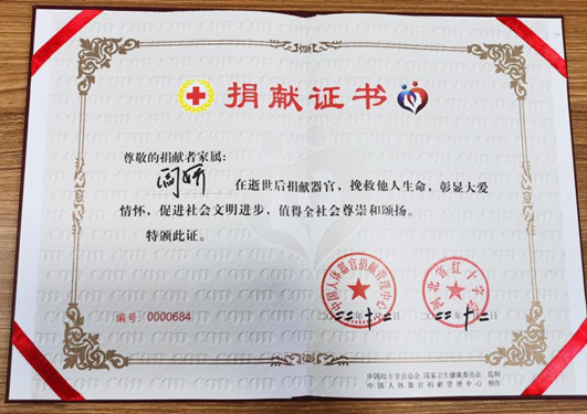 阎娇老师的捐献证书。河北省红十字会供图