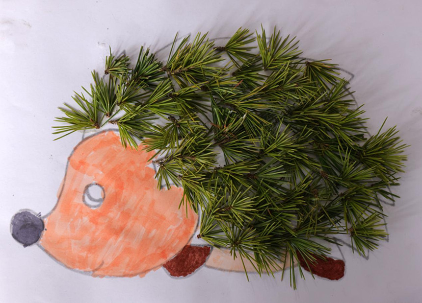 河北省邢台市广宗县东街小学学生制作的创意树叶画。 王垒摄