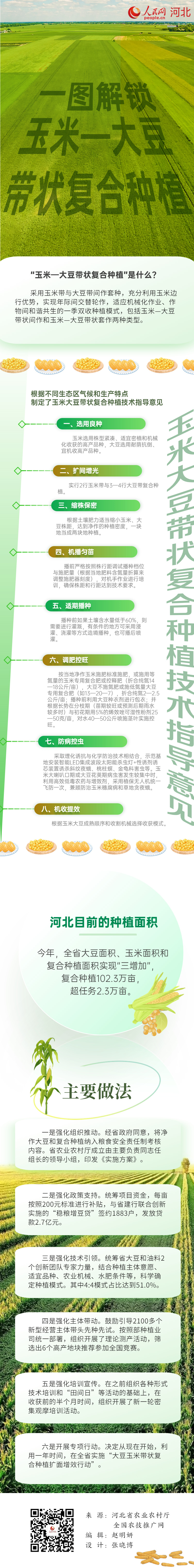 一图读懂大豆玉米亚新体育带状复合种植(图1)