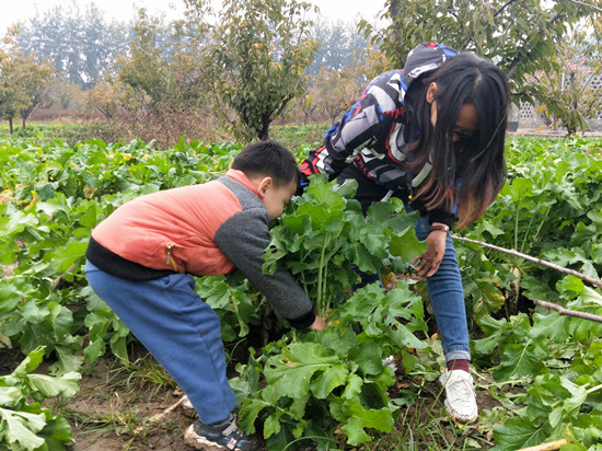 石家庄市民在正定县吴兴村体验农耕文化。 受访者供图