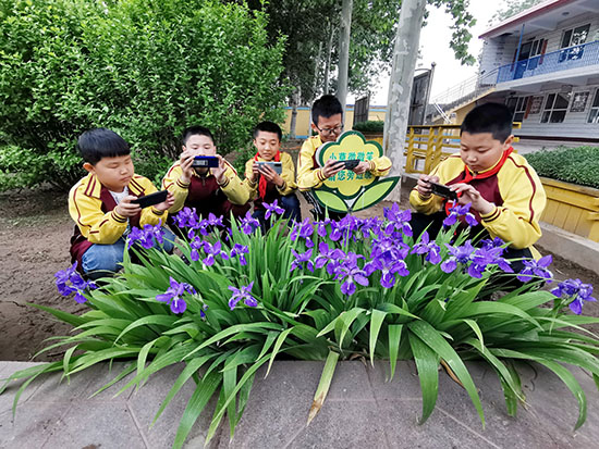 學生們在攝影課中學習鮮花的拍攝技巧。辛集市融媒體中心供圖