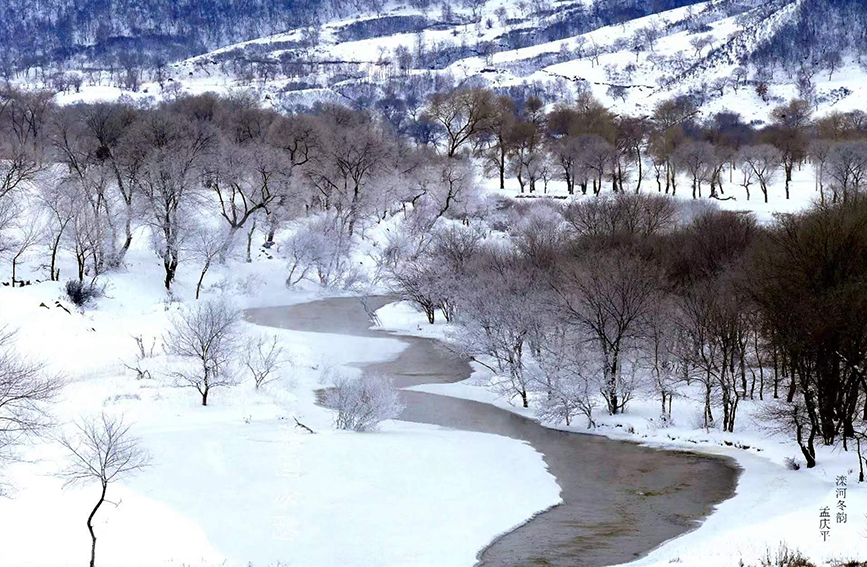 雪后的坝上风景美如画。 许丰摄