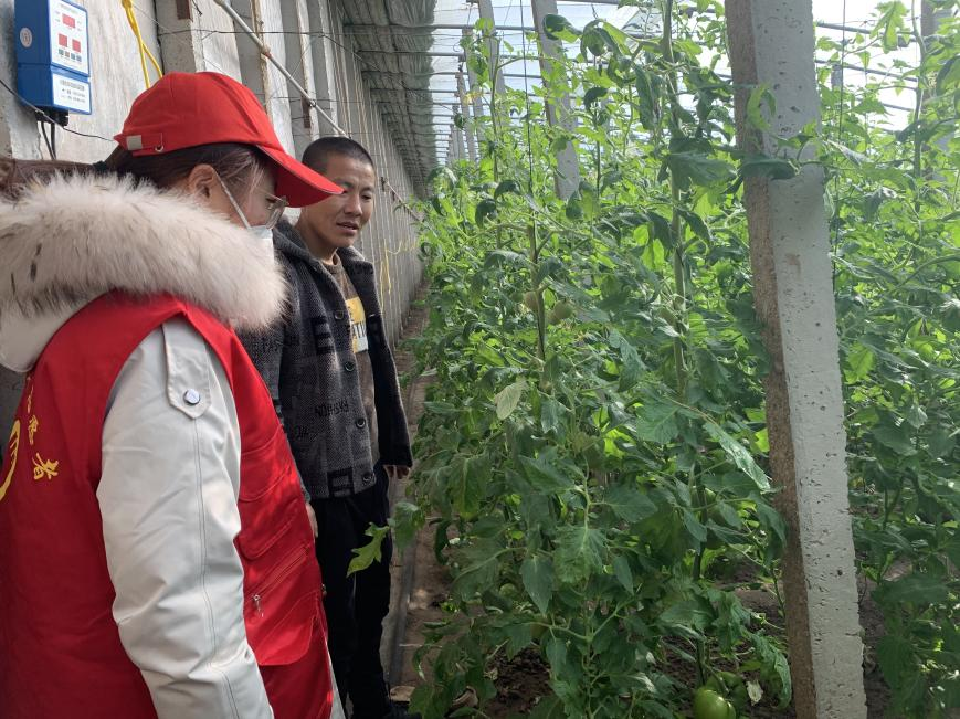 乐亭县毛庄镇新时代文明实践站青年志愿小分队“进大棚”宣讲。 洛文倩摄