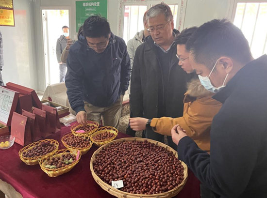 服務團與專家組在信都區美山農業觀摩。河北省科技成果展示交易中心供圖