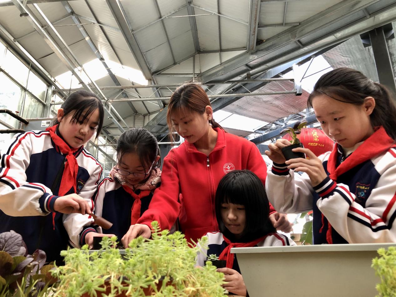 中国农业大学研究生指导曲周县小河道小学学生进行盆载蔬菜种植。 胡海军摄