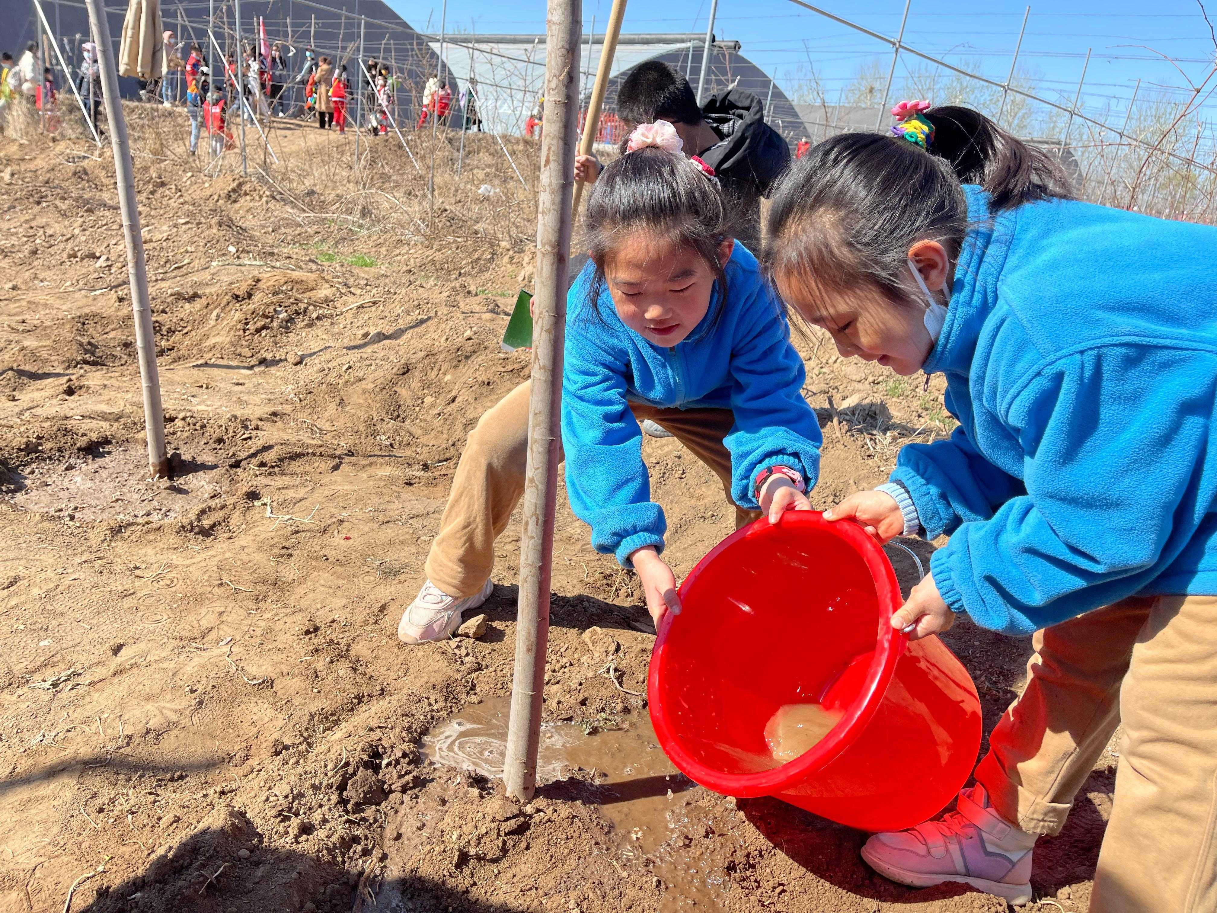 孩子们为种下的树苗浇水。 曹丽伟摄
