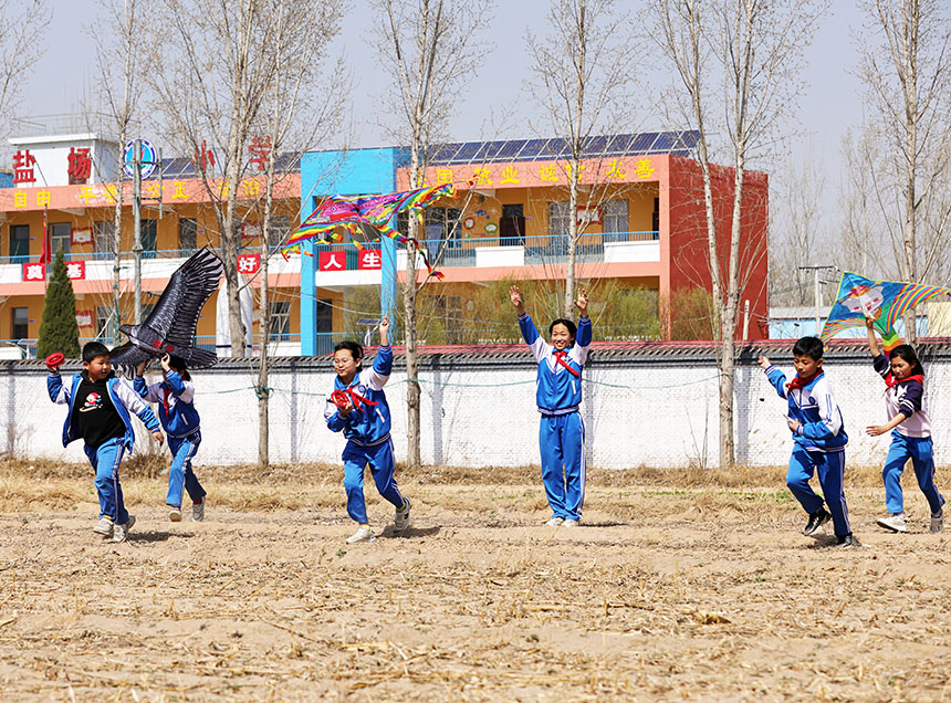 河北省广宗县盐场小学学生在进行放飞风筝比赛。 王垒摄