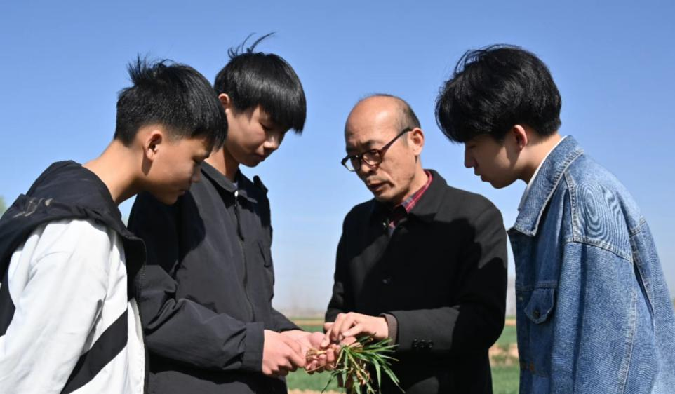 曲周县职教中心农业研究员李清亮为学生讲解小麦生长环境。 冀英凯摄