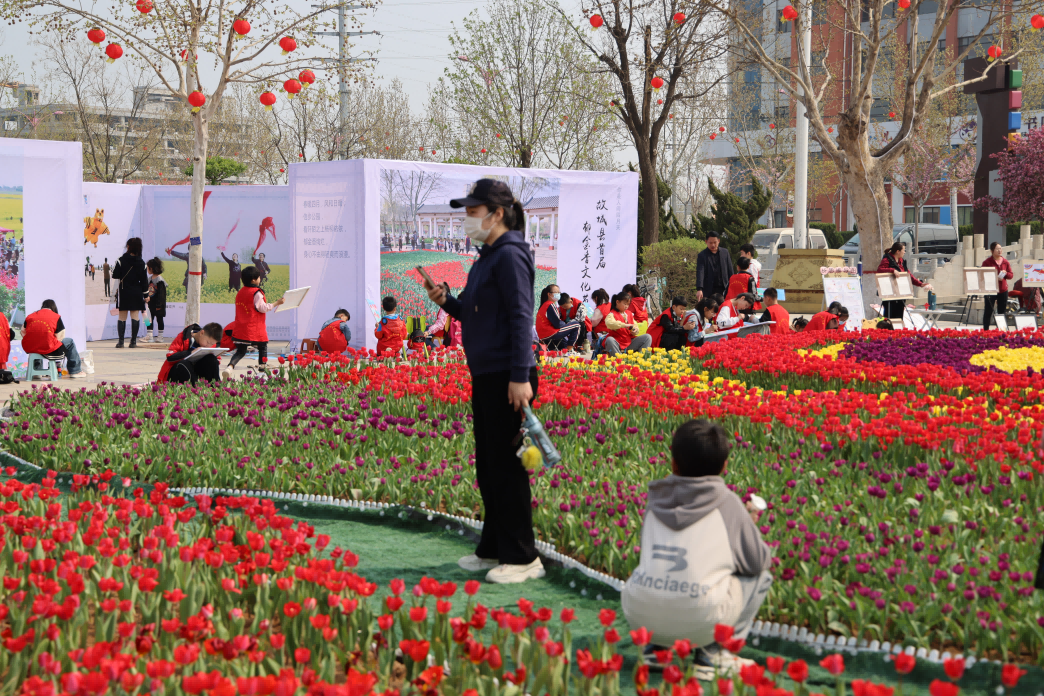 游客参观郁金香花。 齐红雨摄