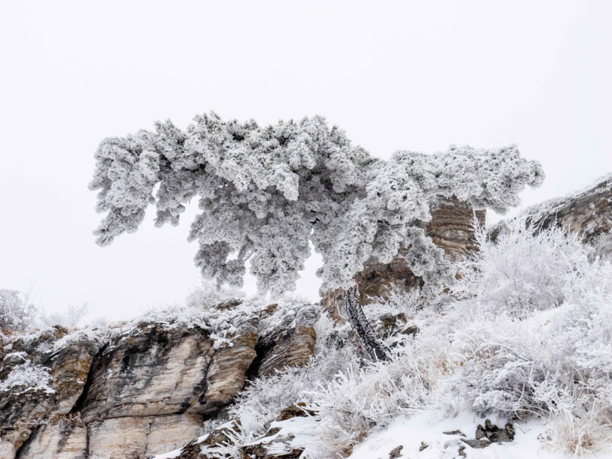 白石山雪景。 齊保利攝