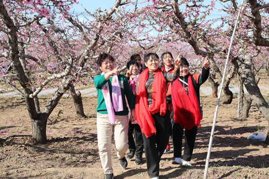游客在桃林中赏花游玩。 张甜甜摄