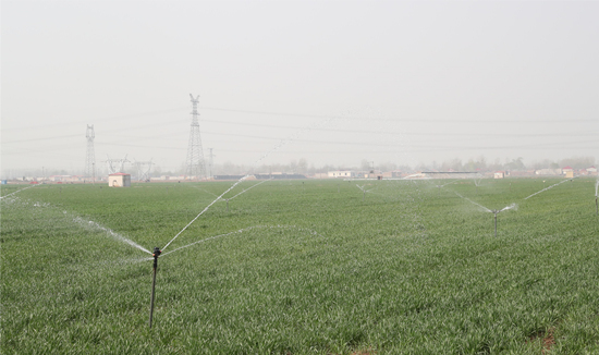 高标准农田中喷灌设备正在灌溉。 赵端摄