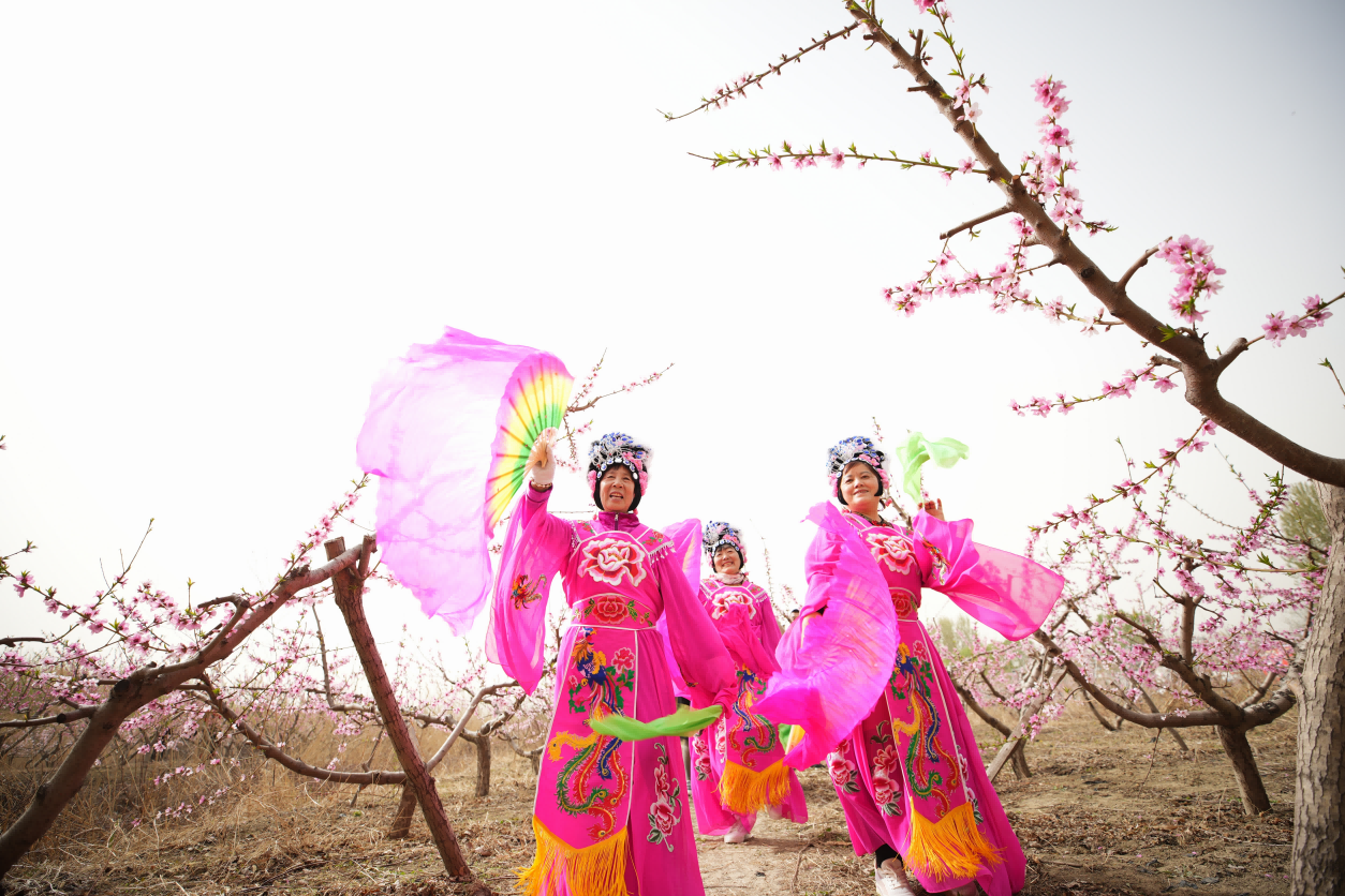 河北省唐山市丰南区南孙庄镇首届桃花节开幕，表演者在桃园翩翩起舞。 李福政摄