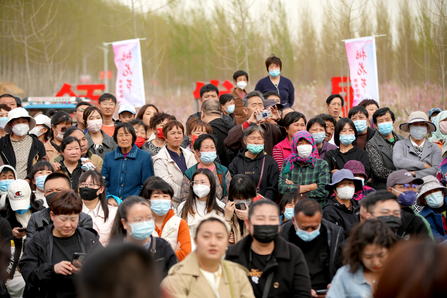 河北省唐山市丰南区南孙庄镇首届桃花节开幕,吸引众多周边的游客前来观赏。 李福政摄