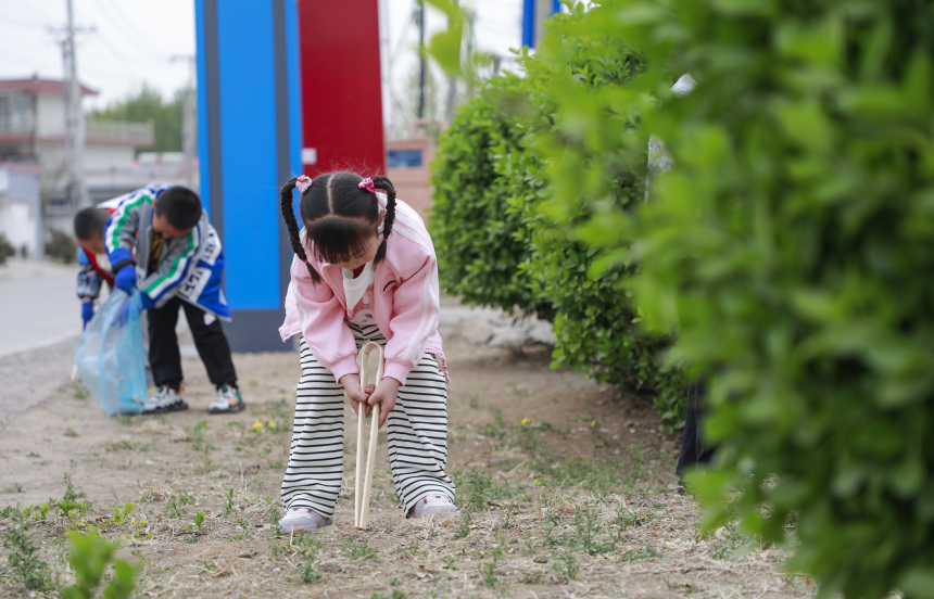 唐山市豐南區唐坊鎮蒲子泊幼兒園小朋友在周邊村庄撿拾垃圾。 陳軍攝