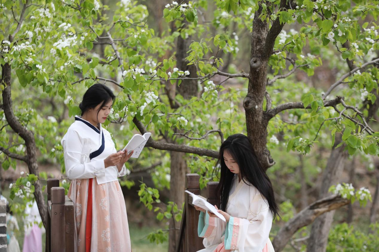 学生身着汉服读书。 刘环宇摄