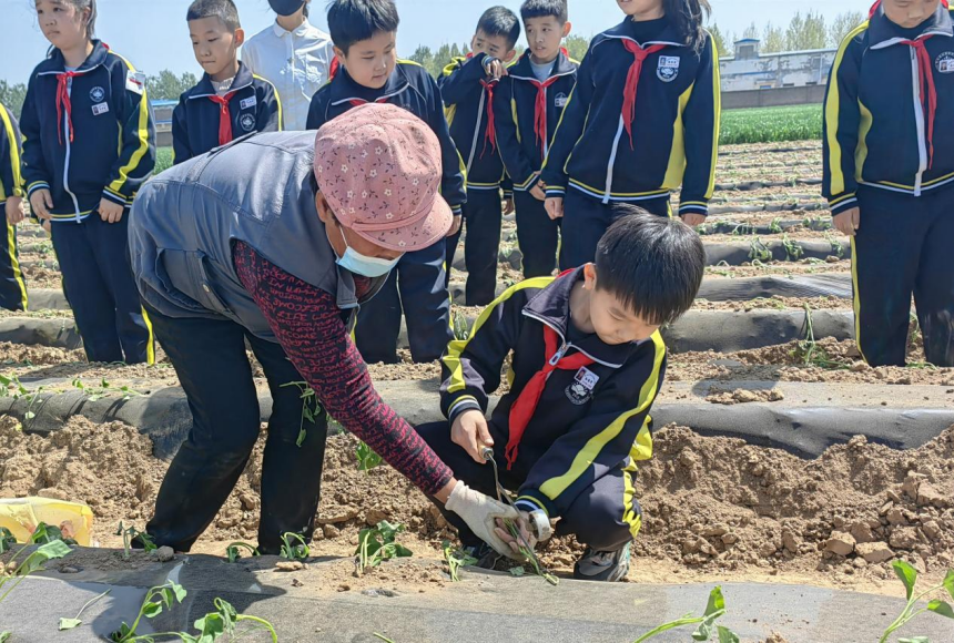 种植户手把手指导学生如何进行插秧。 马钰摄