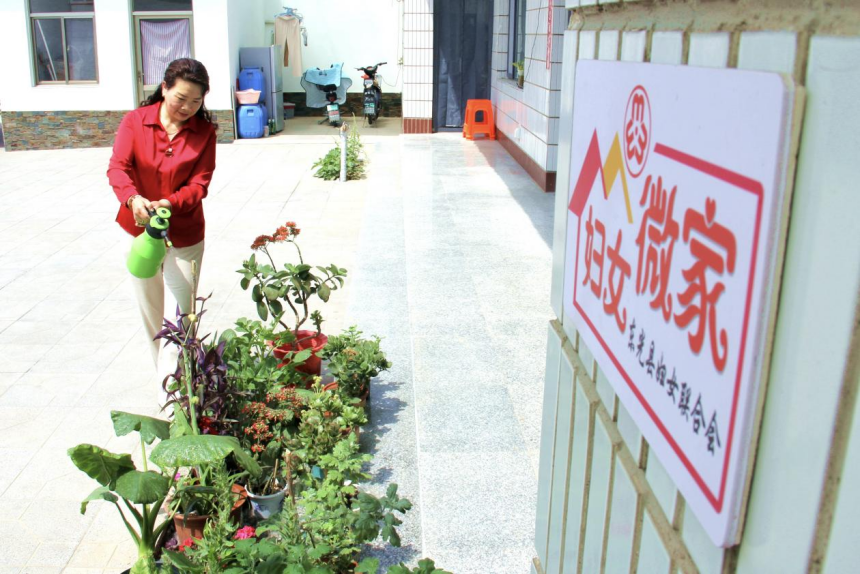 東光縣燈明寺鎮“美麗庭院”示范戶的戶主在庭院內澆花。 張金元攝