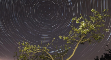 当梨花邂逅初夏星空