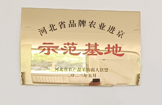 河北省品牌农业进京示范基地。 杨静摄