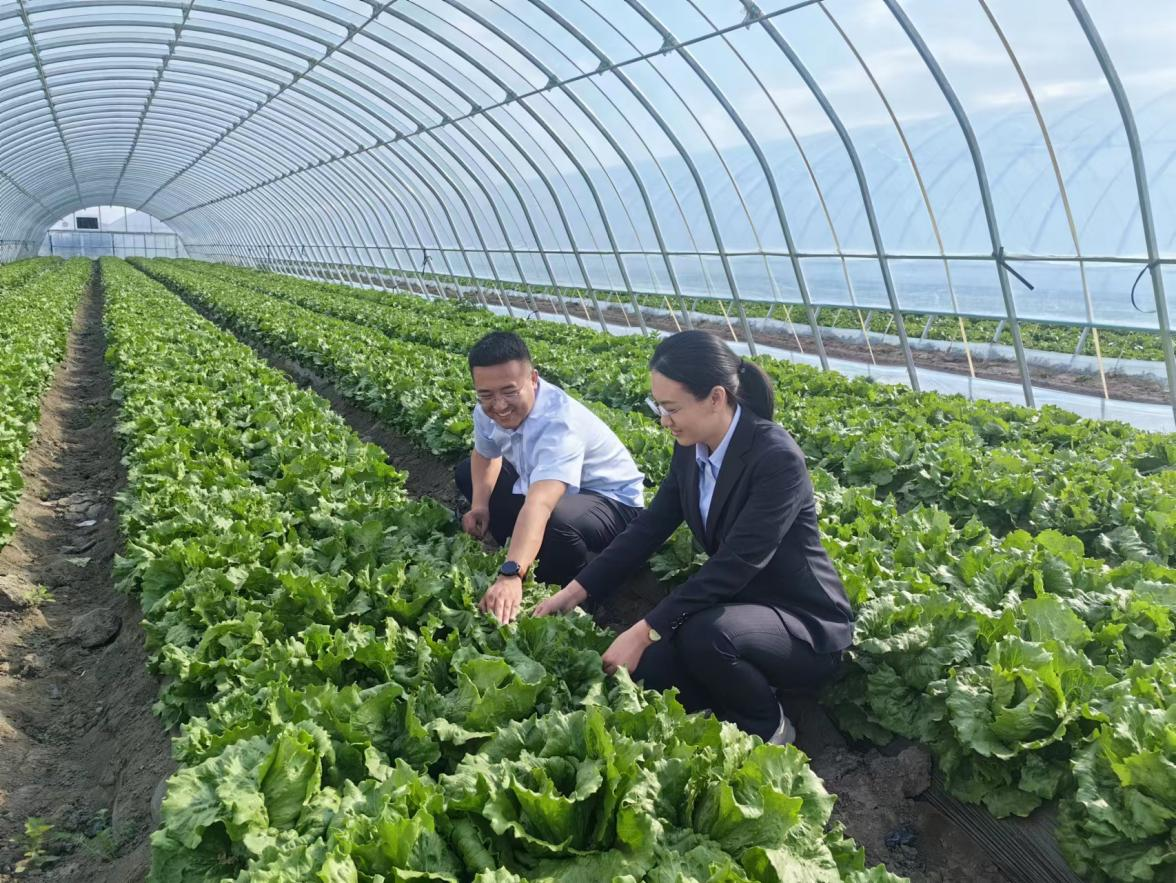 河北中行客戶經理走訪農戶。 武崢攝