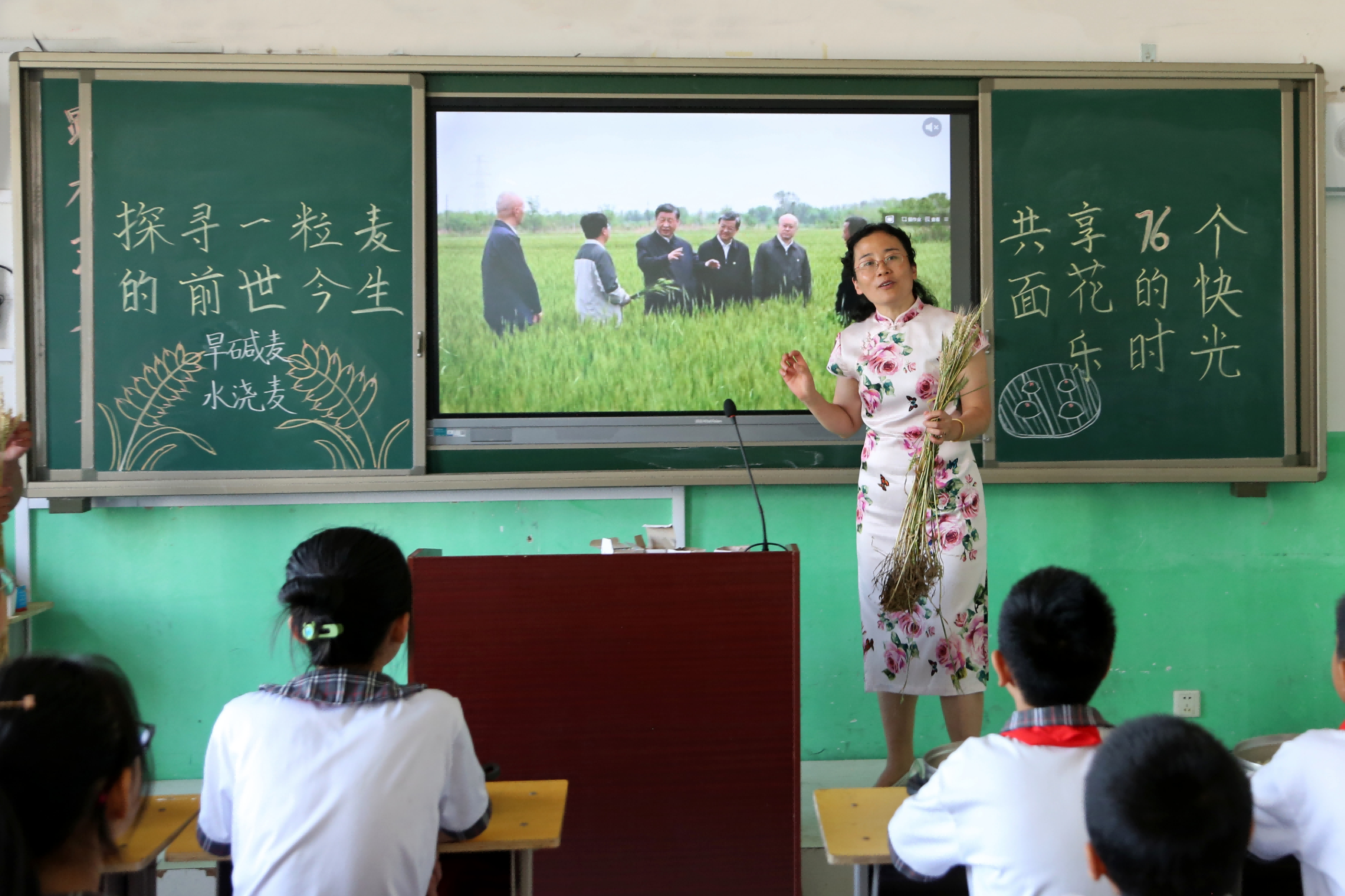 孟村育才小学教师与孩子们分享小麦知识。 王俊龙摄