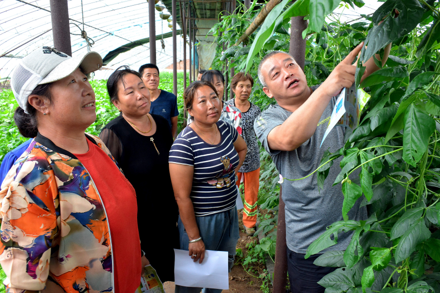 农业技术指导员实地给村民解答农作物种植中出现的问题。李国强摄