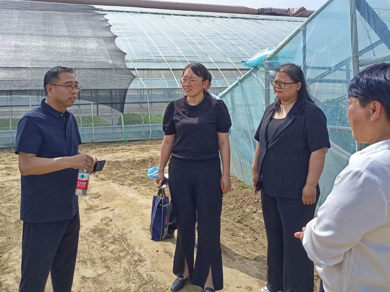 特派员在丽农园艺设计有限公司介绍其公司产品的未来可发展方向。 张光伟摄
