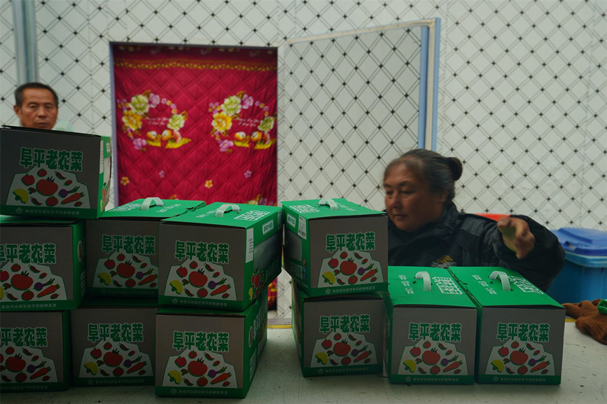 阜平“老农菜”装车待发。 李秀芹摄