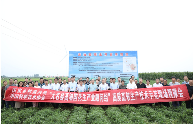 河北省高油酸花生产业现场观摩会。 主办方供图