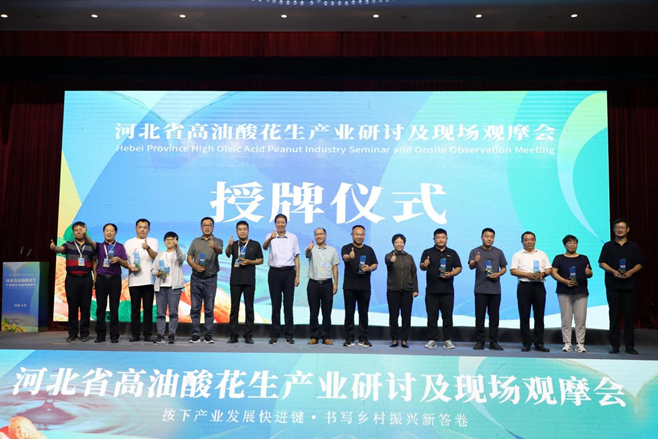 授牌仪式。 主办方供图
