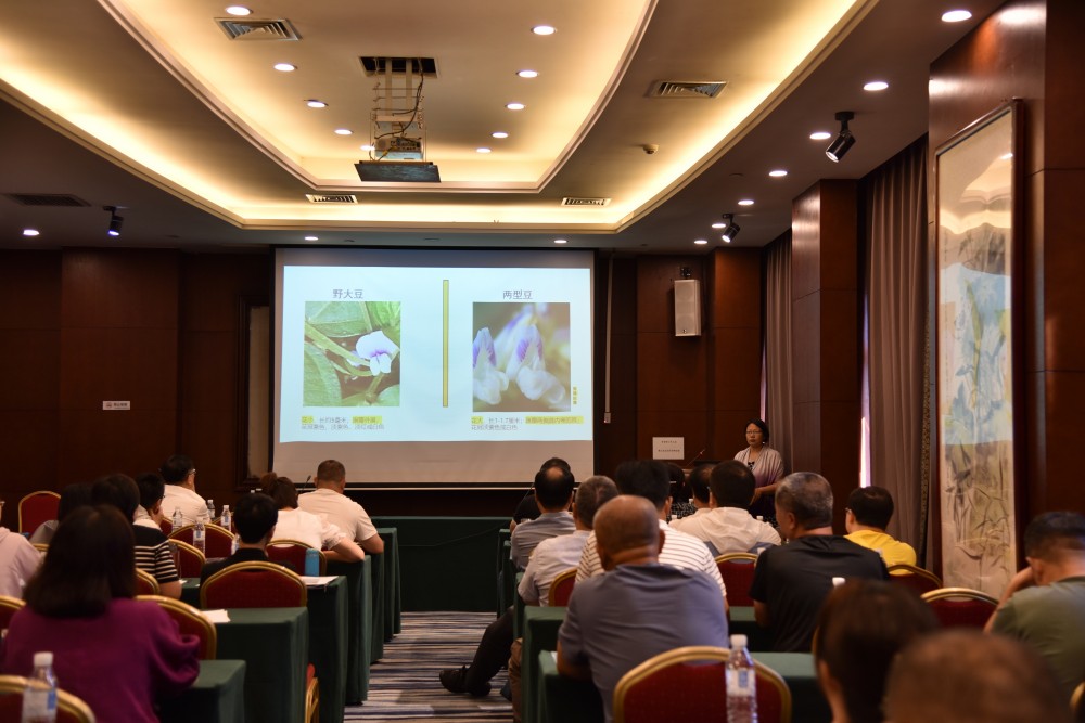 野生植物保护培训班现场，教授正在讲解野大豆与两型豆的区别。 田芳摄