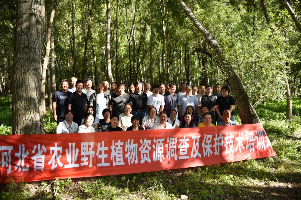 河北省農業野生植物資源調查及保護技術培訓班成員合影。 田芳攝