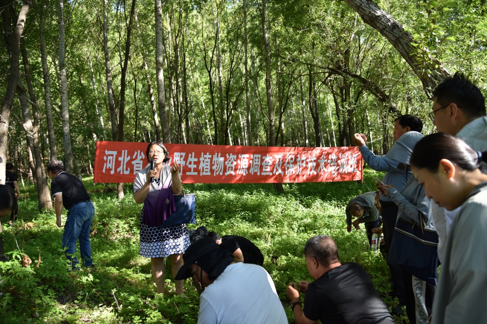 培训班观摩现场，教授正在户外现场教学。 田芳摄