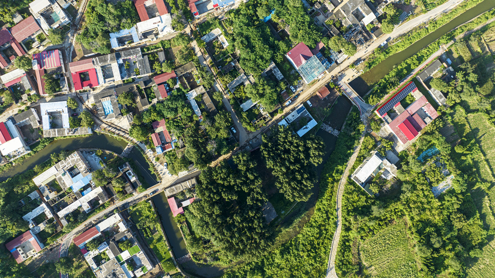 河北省邯郸市复兴区二六七二街道东高河村（无人机航拍）。 聂长青摄