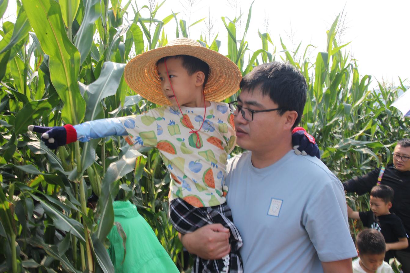 孩子们在家长陪伴下体验农耕乐趣。 肖子惠摄